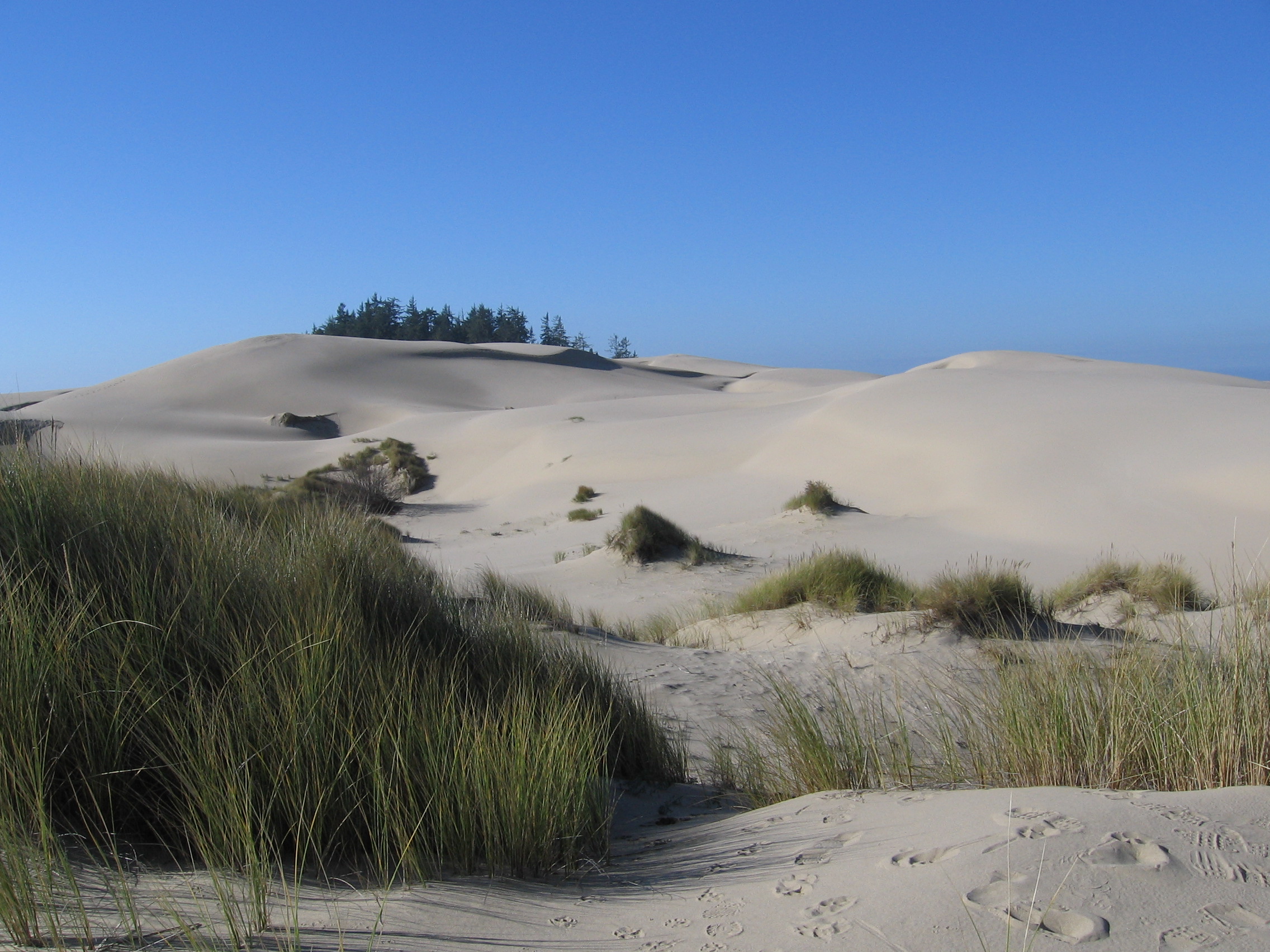 Oregon Dunes National Recreation Area, United States