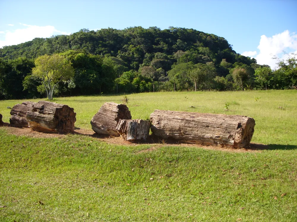 São Vicente do Sul, Brazil