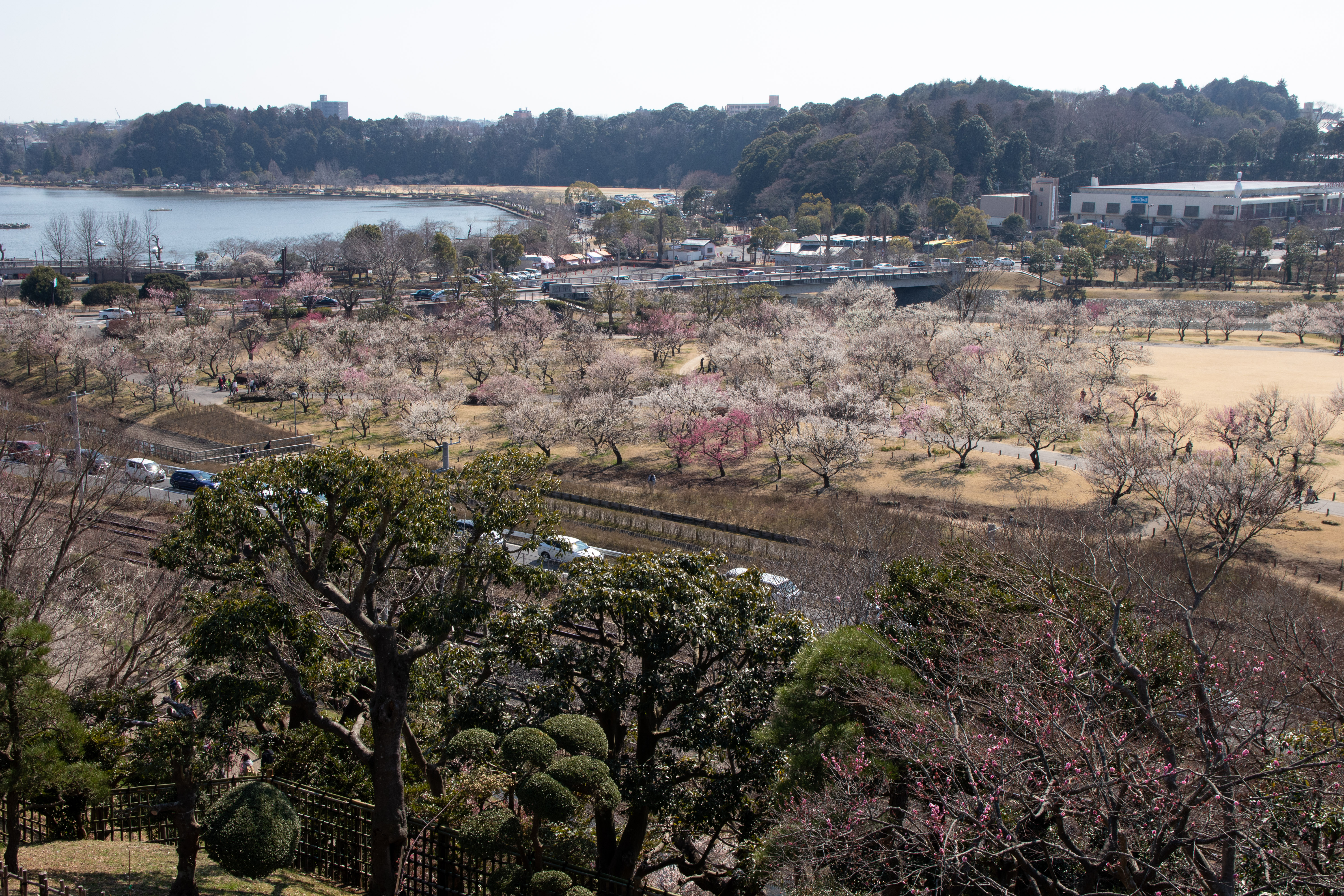5.9‑Magnitude Quake Hits Ibaraki, Injures 45, No Fatalities Reported