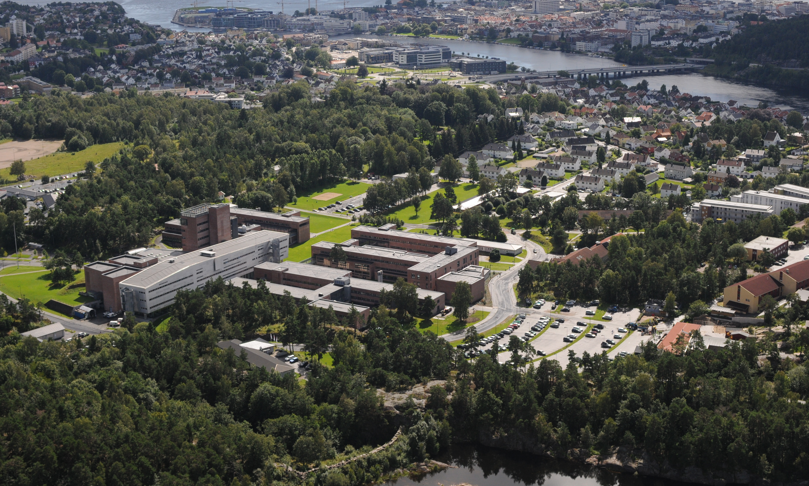 University of Agder