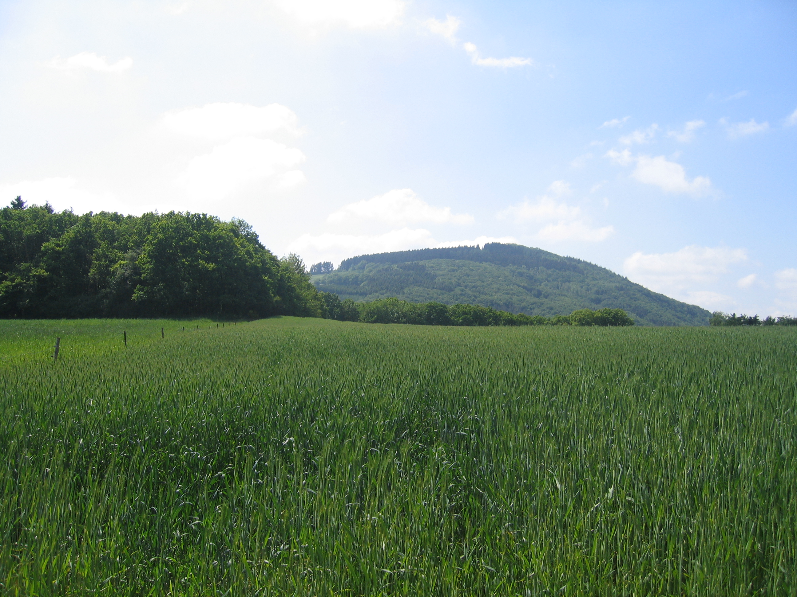 Hochthürmerberg