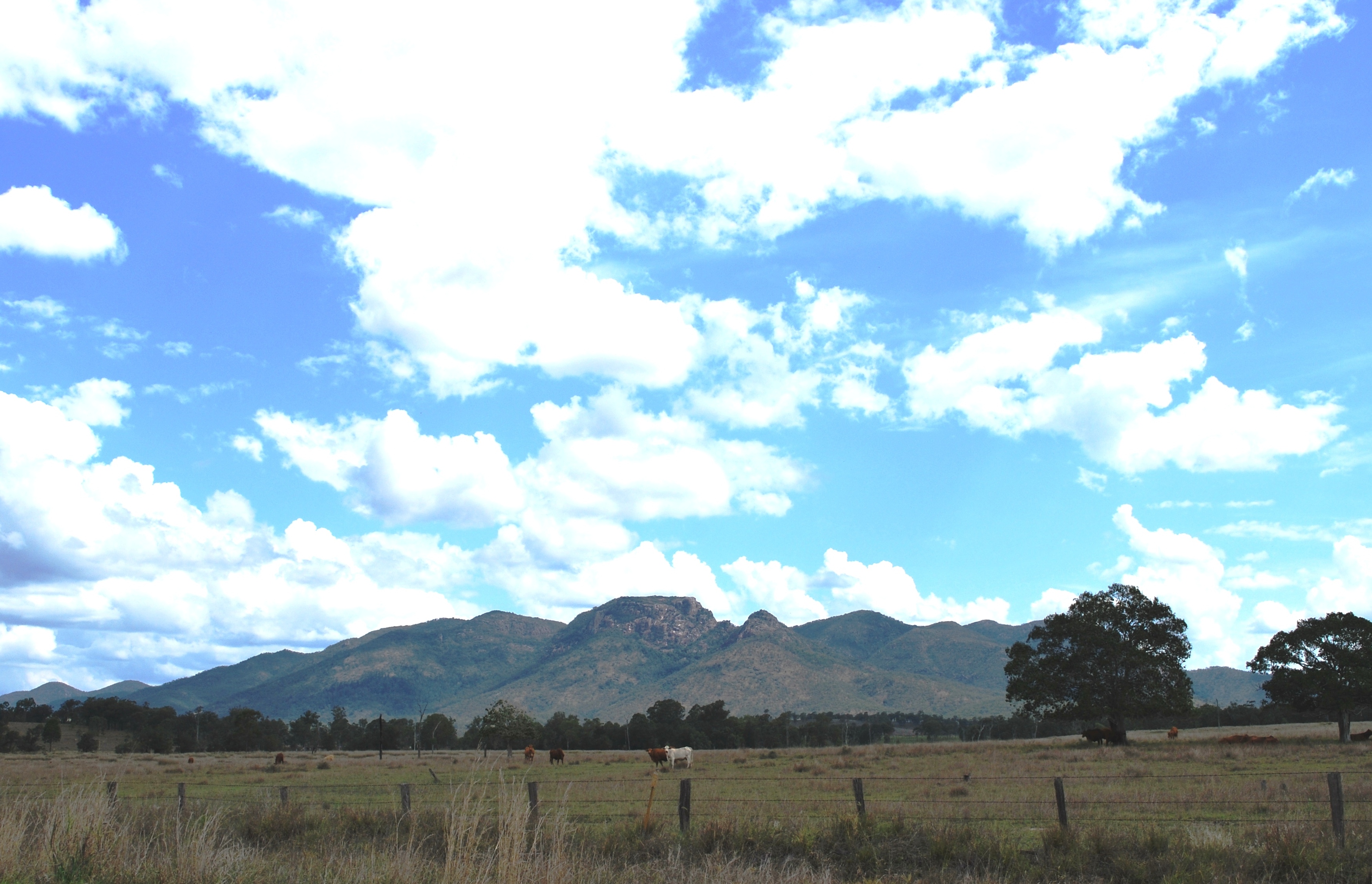 Mount Walsh National Park
