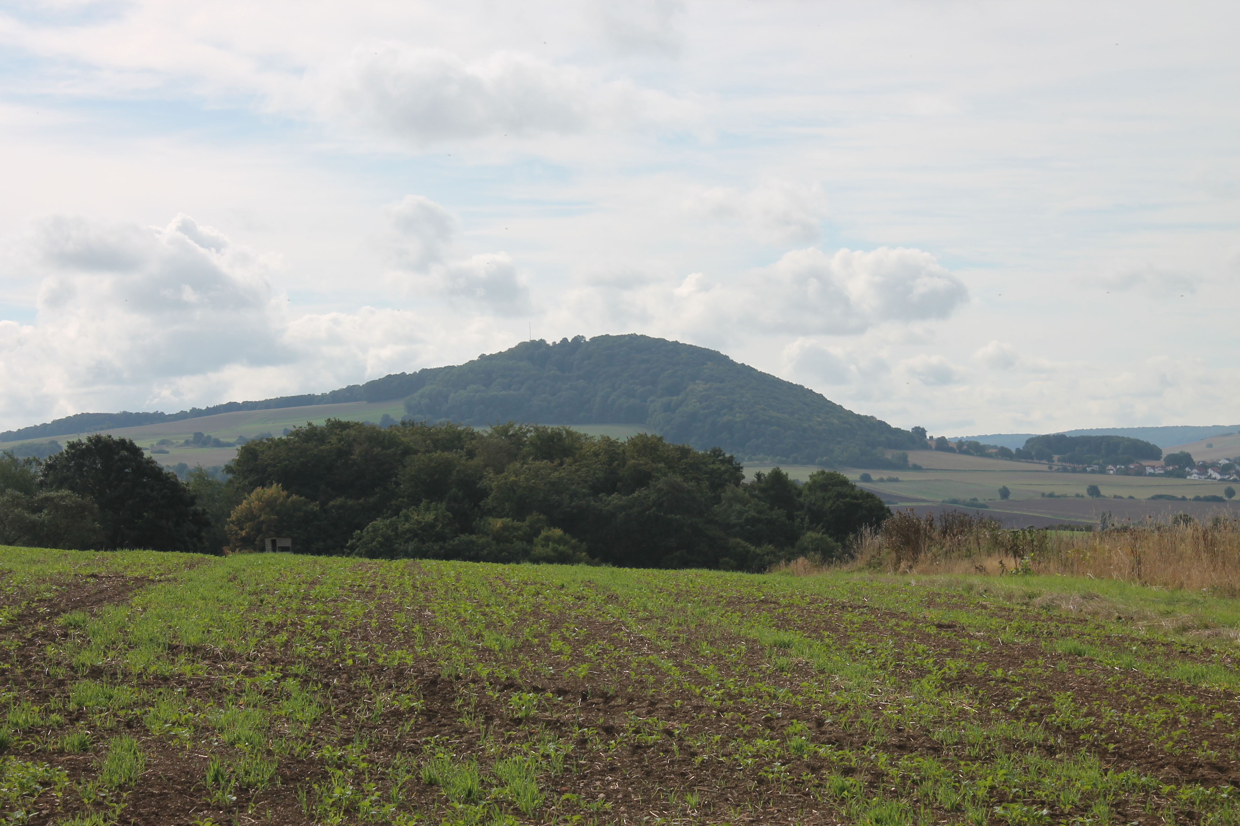 Heiligenburg Castle