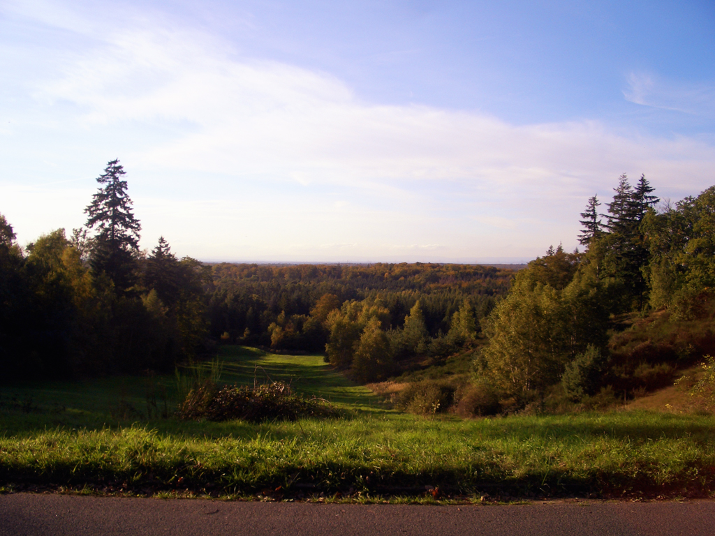 Mainzer Berg