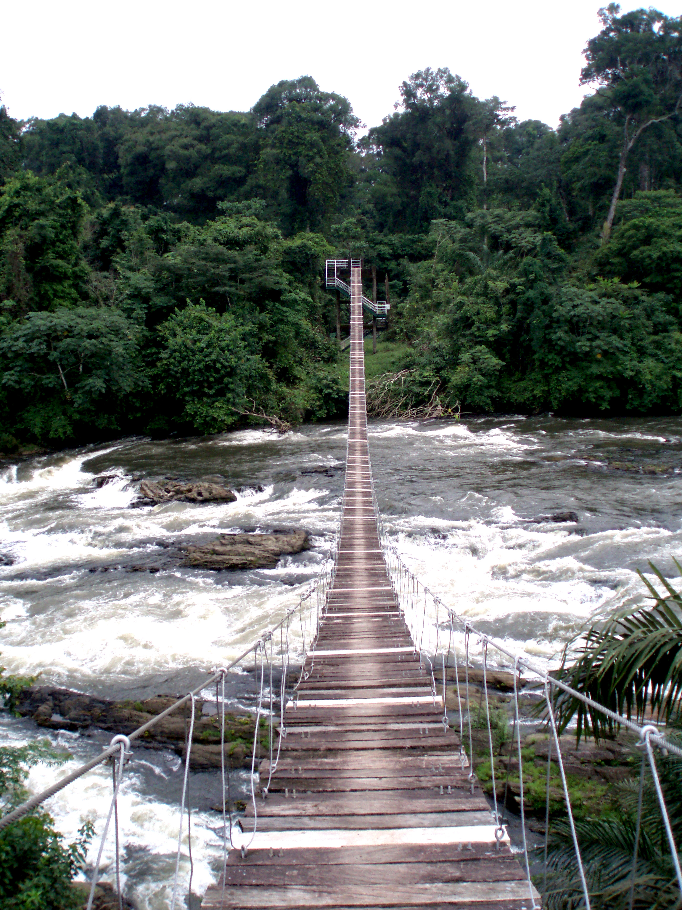 Korup National Park