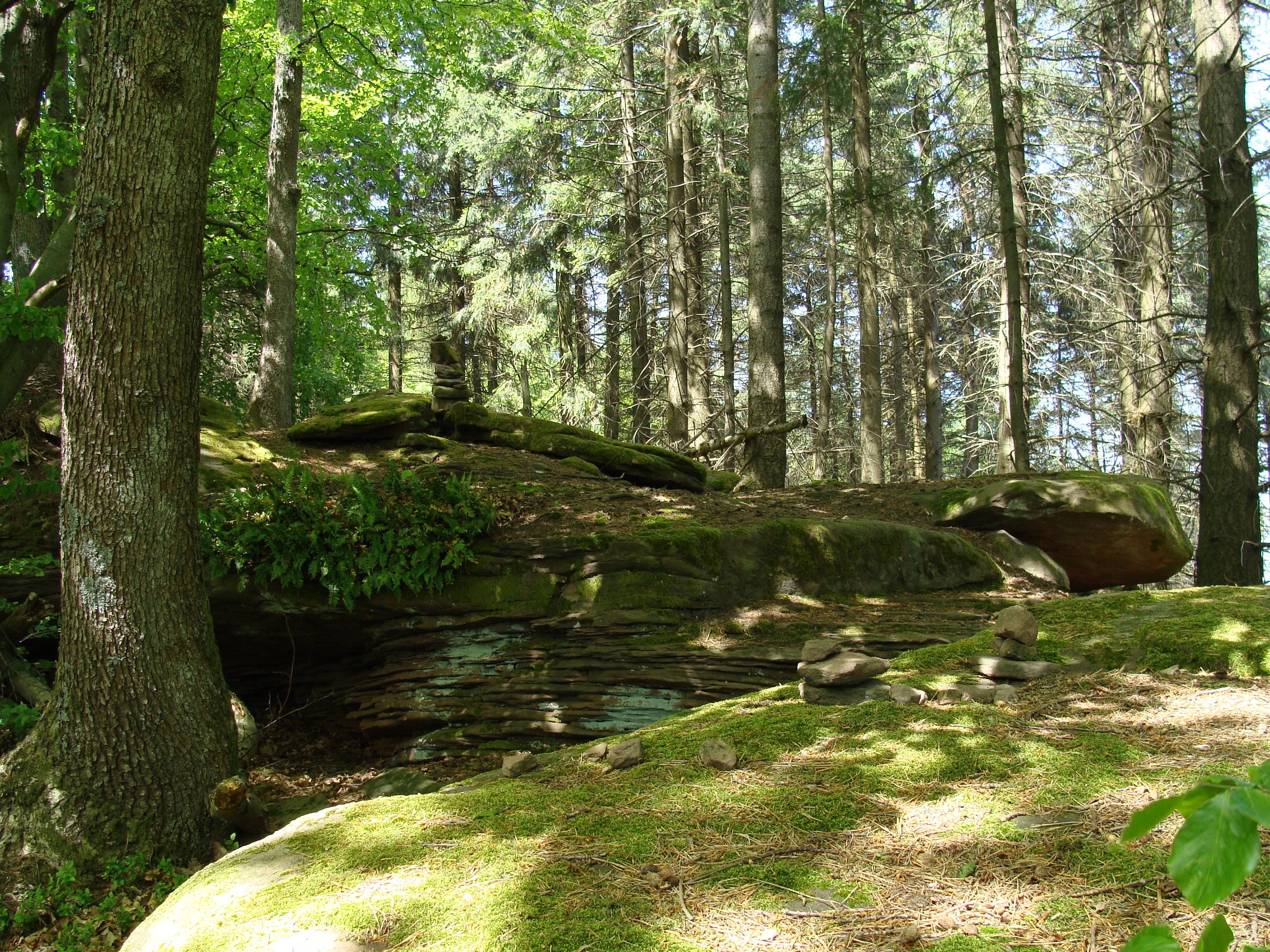 Kesselberg (Palatinate)