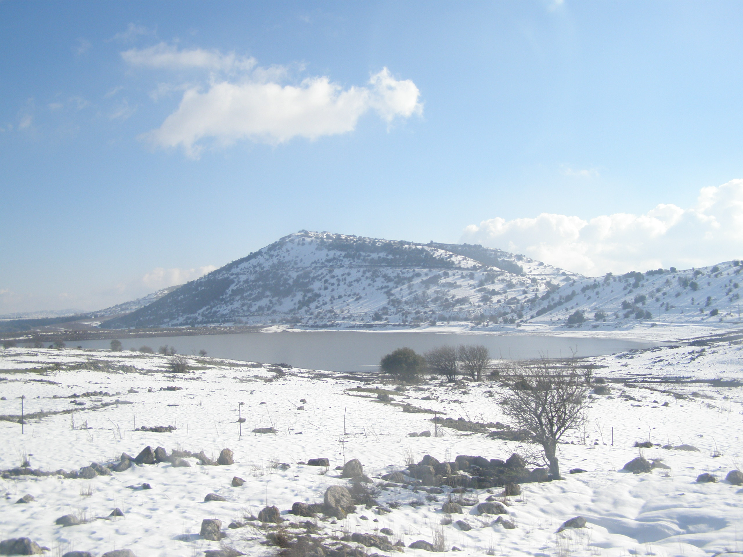 Mount Bental