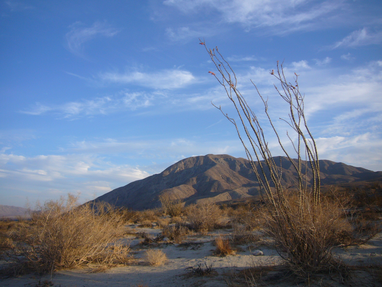 Coyote Mountain