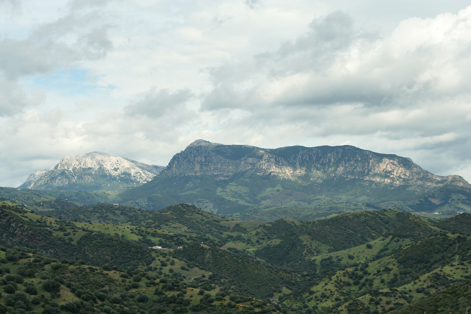 Monte Albo