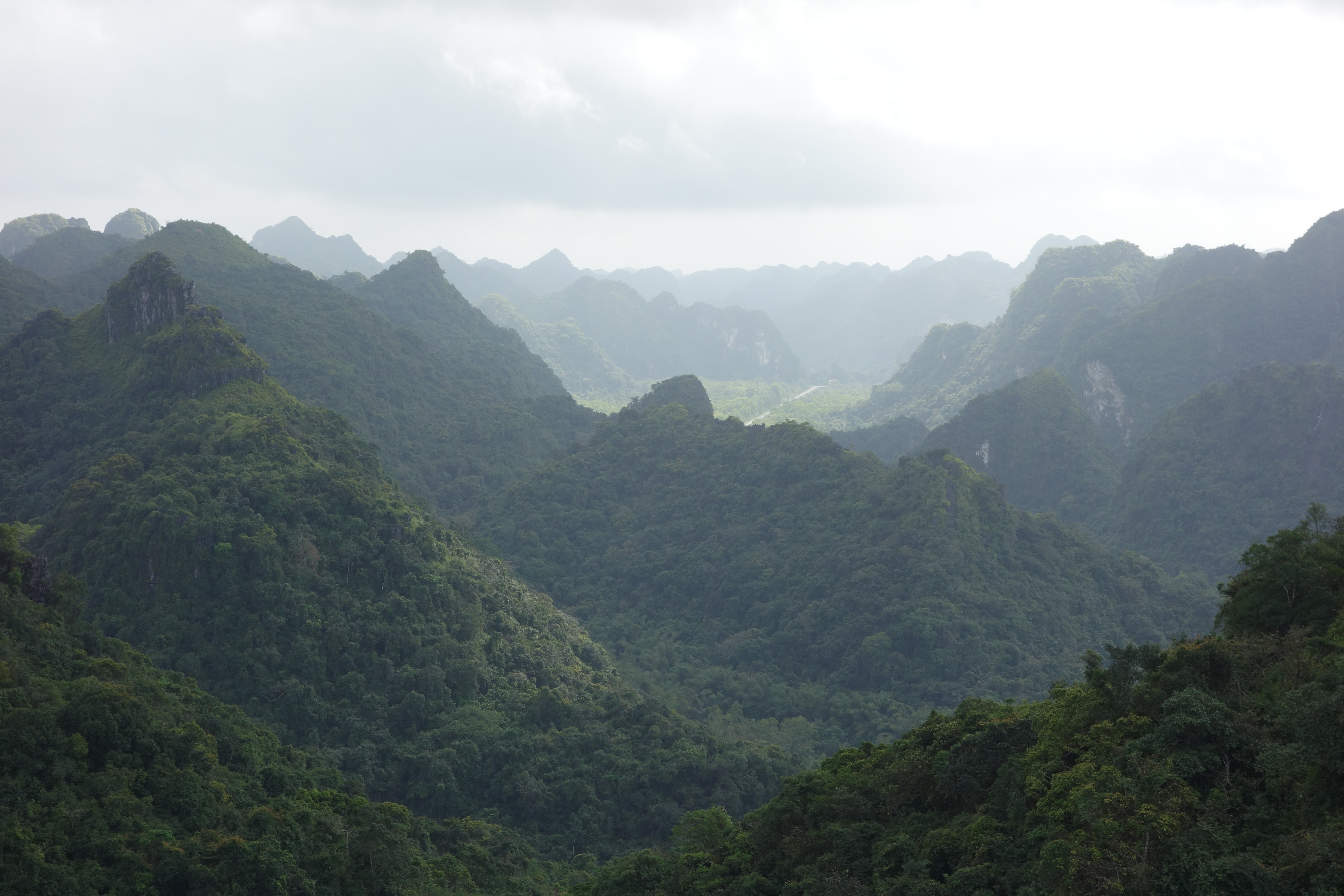 Cat Ba National Park