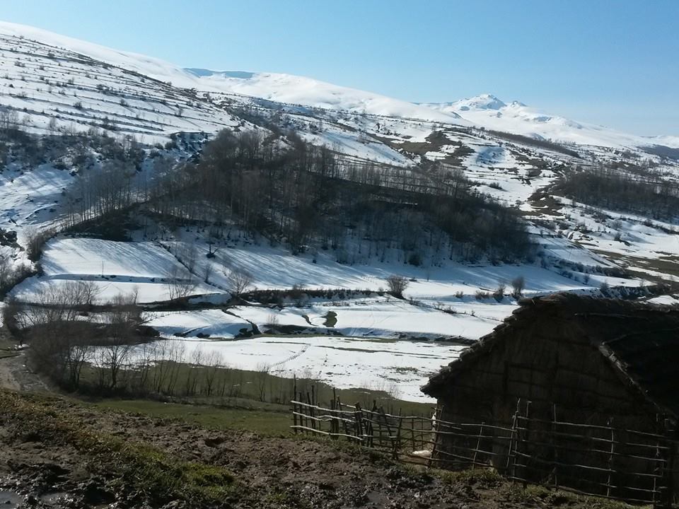 Shishtavec, Albania