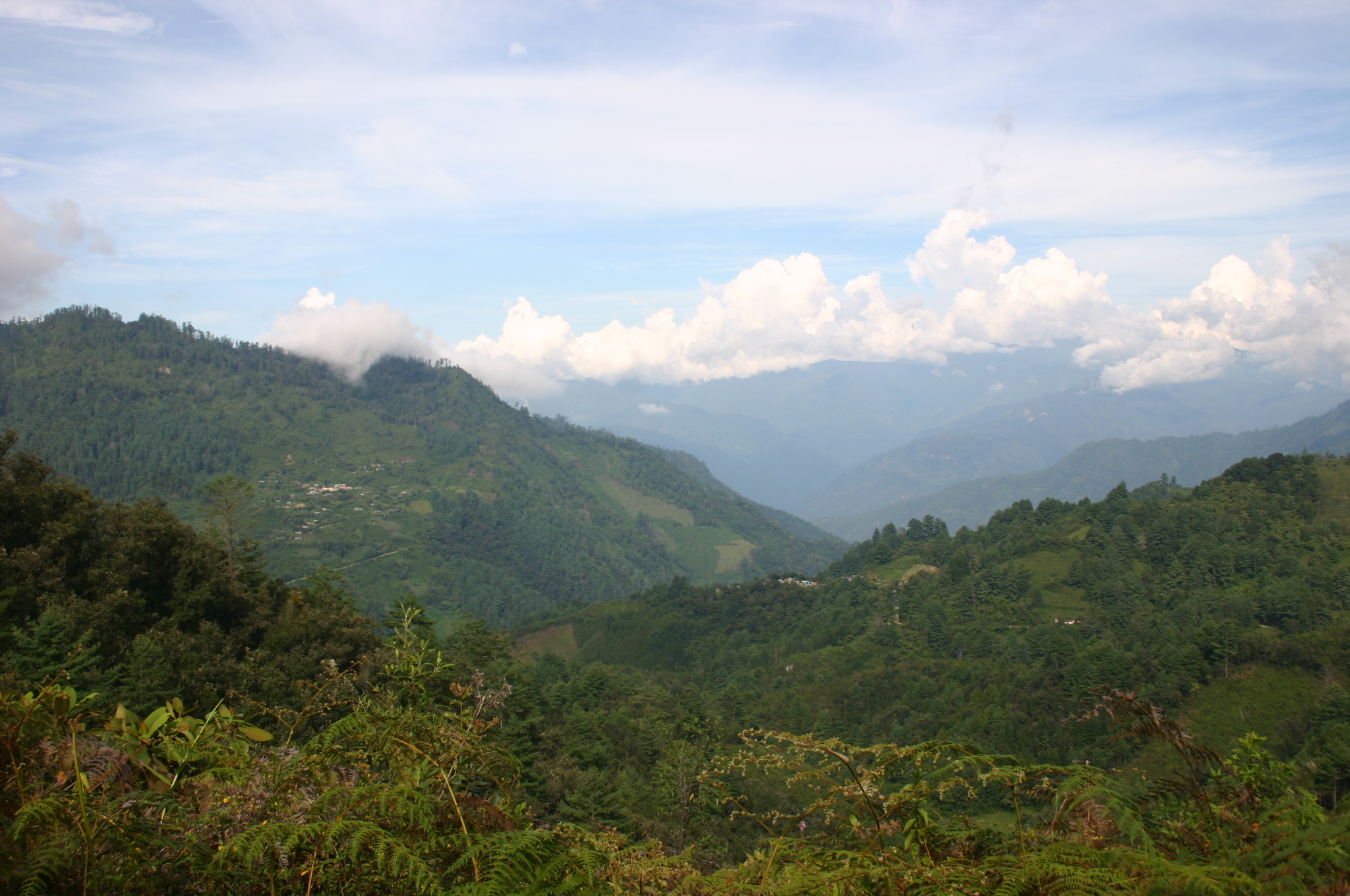Sierra Juárez, Oaxaca
