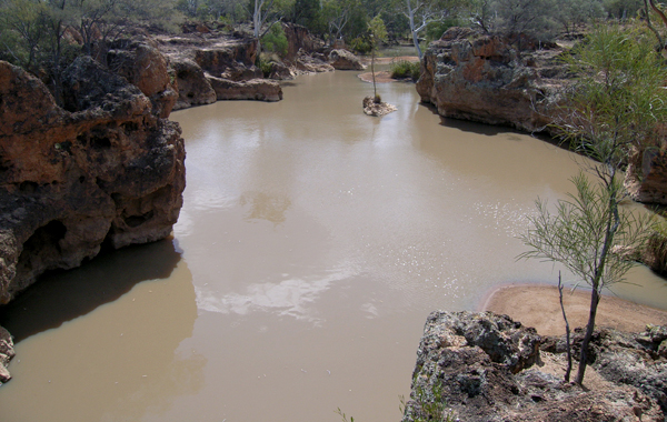 Yapunyah waterhole