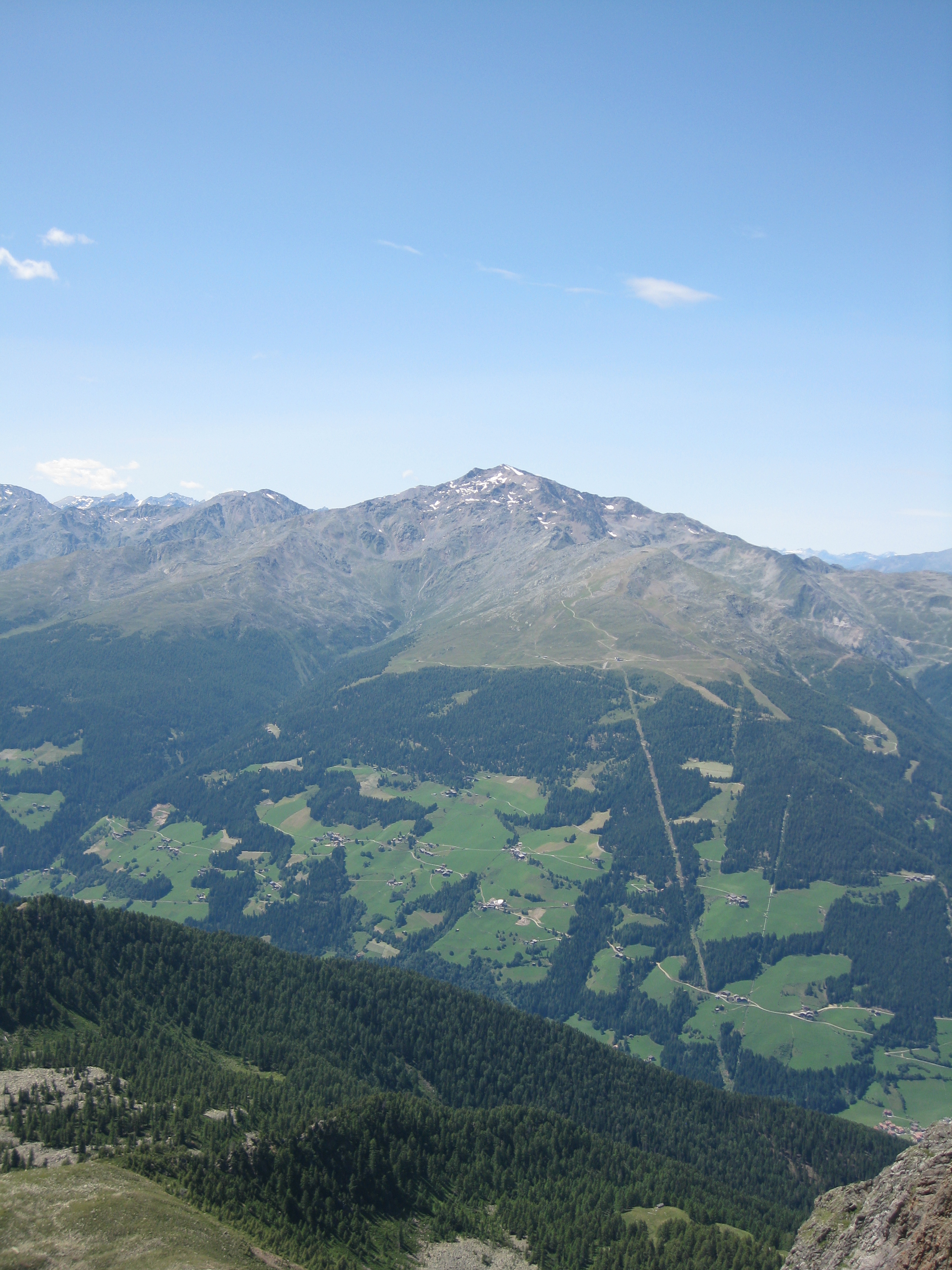 Hasenöhrl