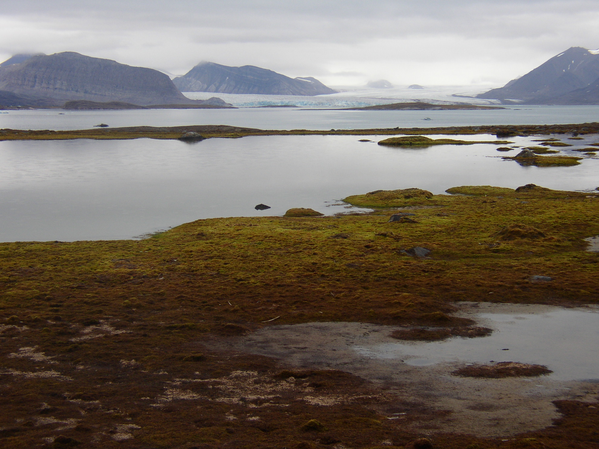 Blomstrandhalvøya