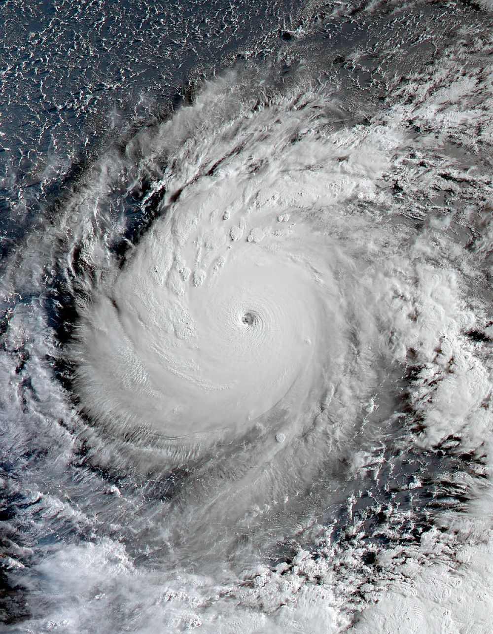 Typhoon Doplin makes landfall in Japan, China closes ports and rail commute