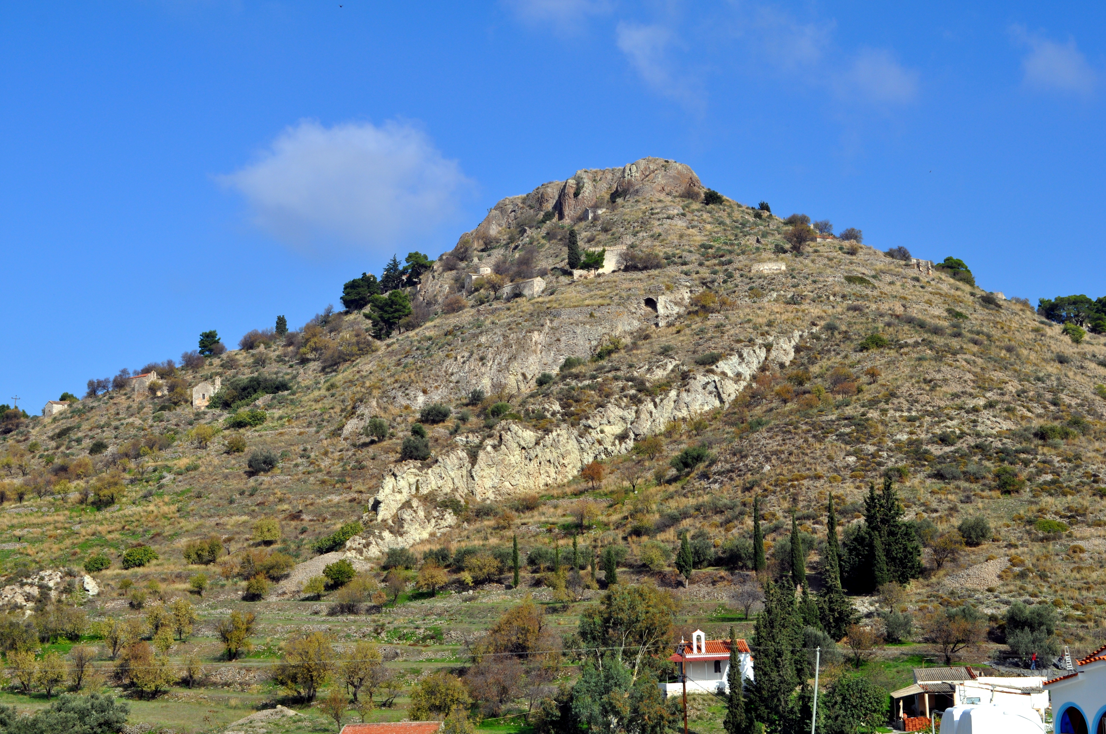 Palaiochora