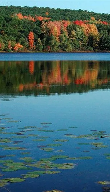 Little Cedar Lake