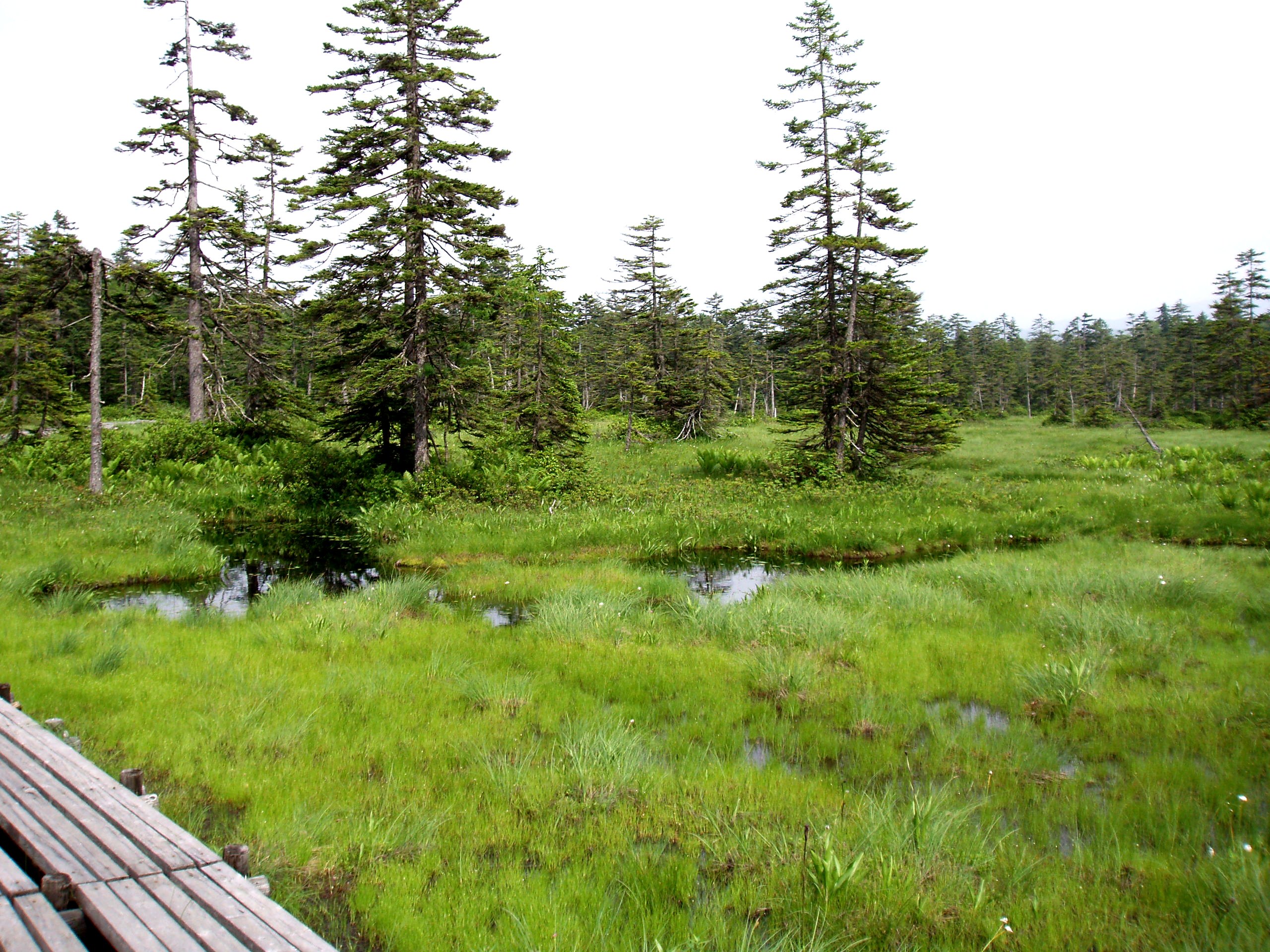 Takinoue, Japan