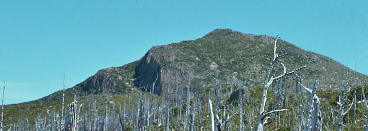 Mount Sedgwick