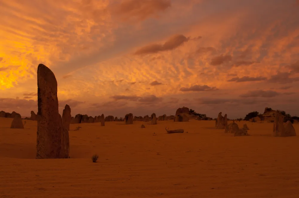 Nambung National Park