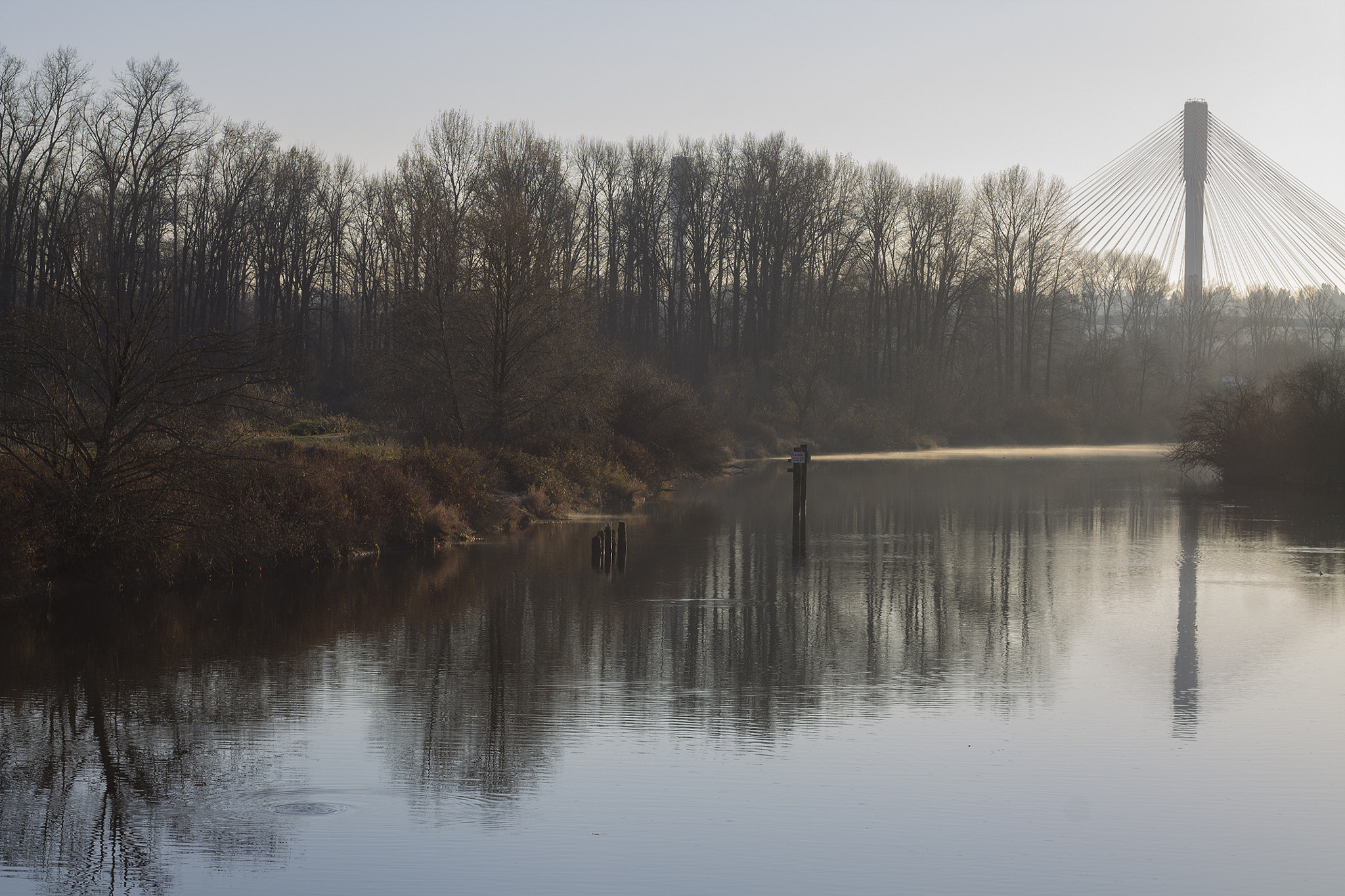 Port Coquitlam, Canada