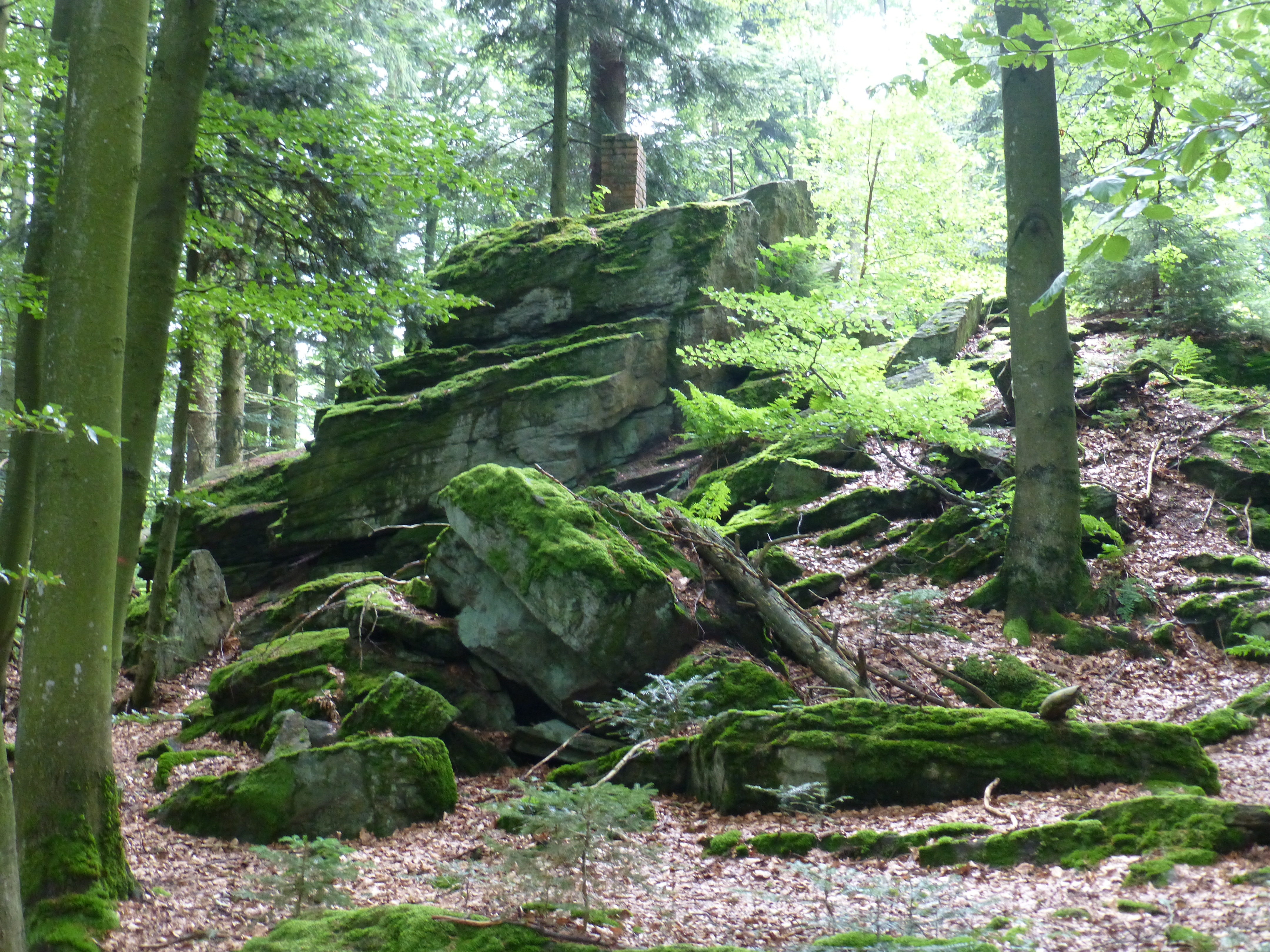 Hausstein