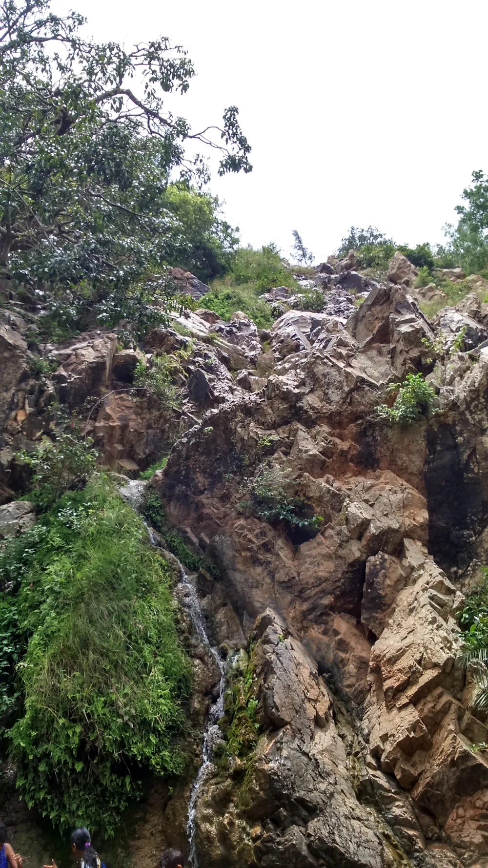 Muthyalamaduvu