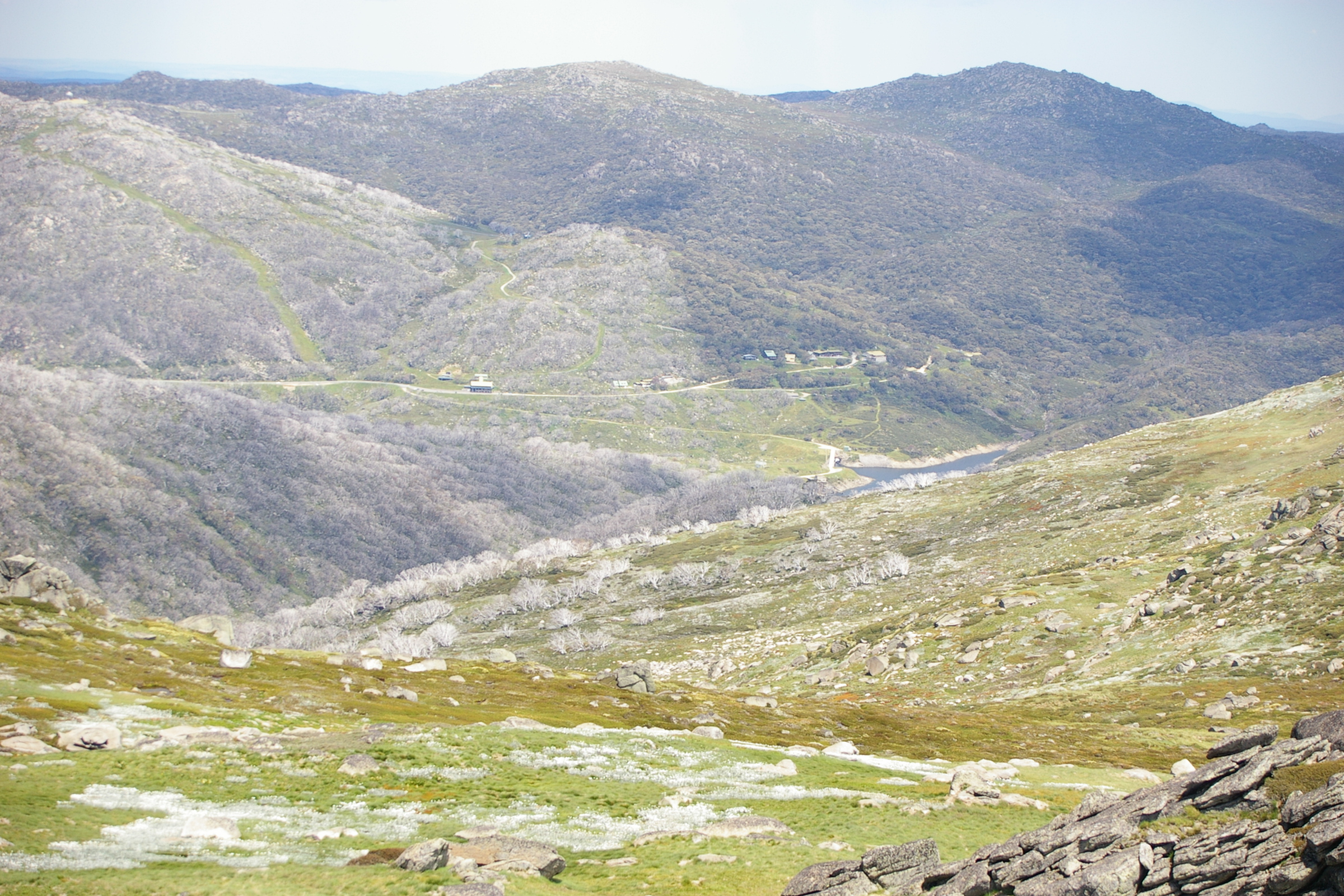 Mount Tate