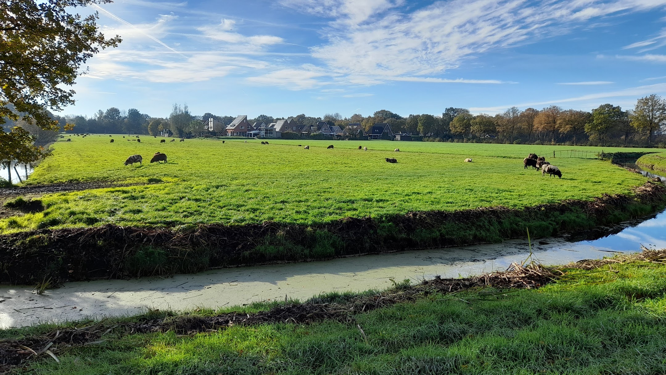 Langezwaag, Netherlands