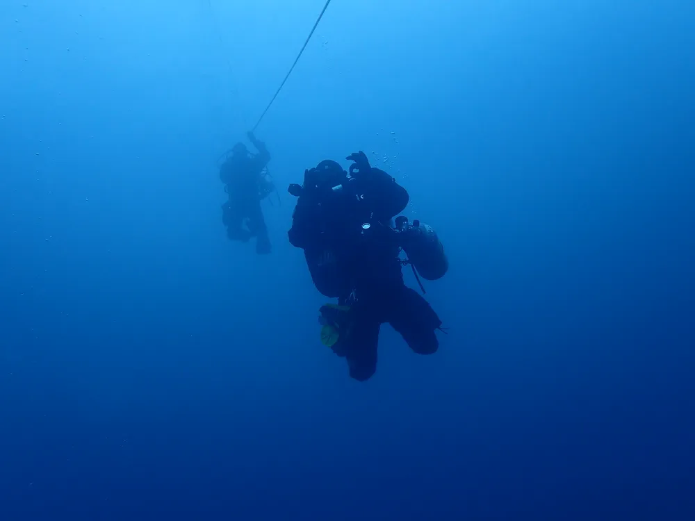 Diving the south coast of South Africa/Alphard Banks, South Africa