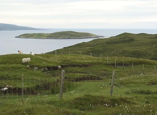Soay Mòr