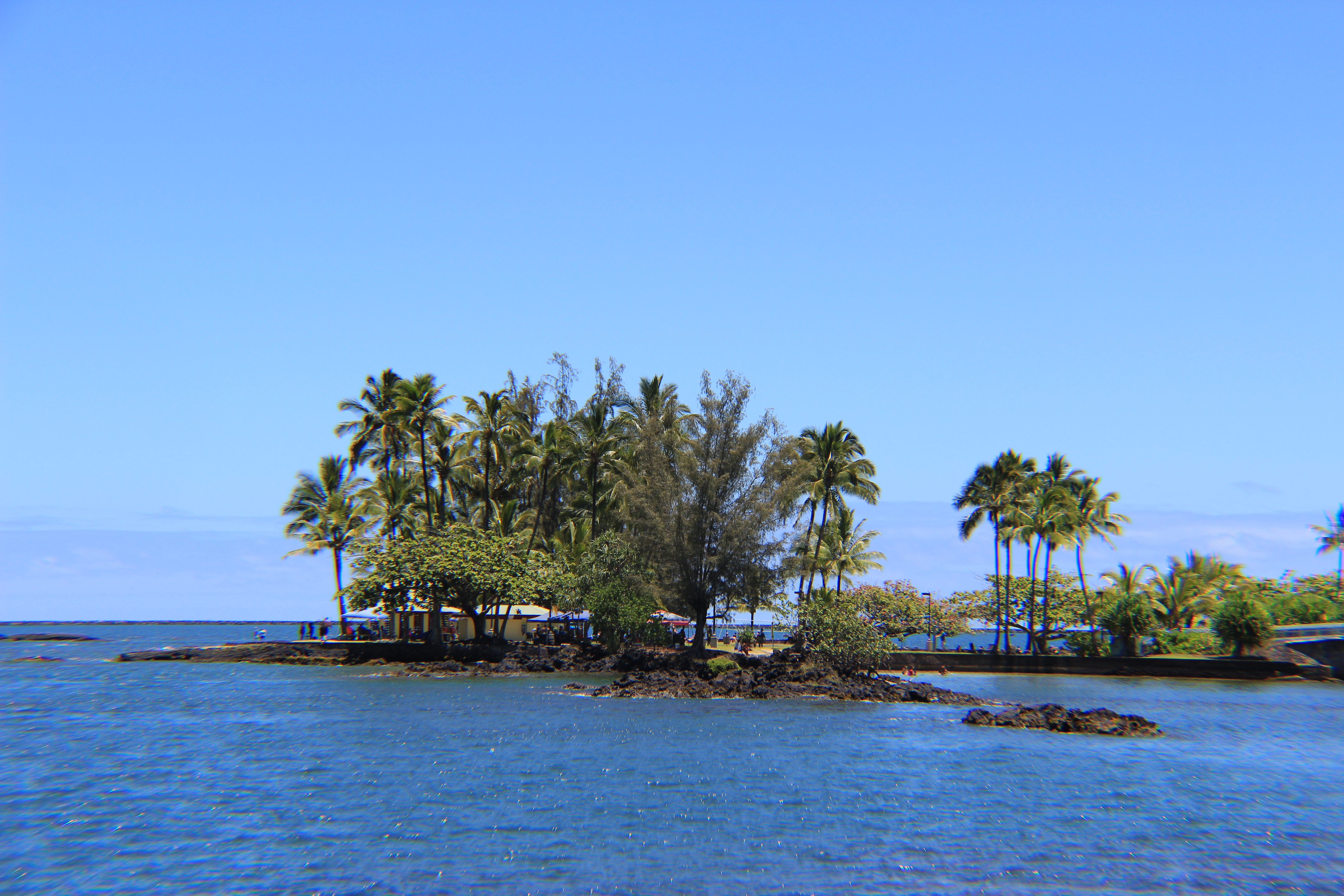 Coconut Island