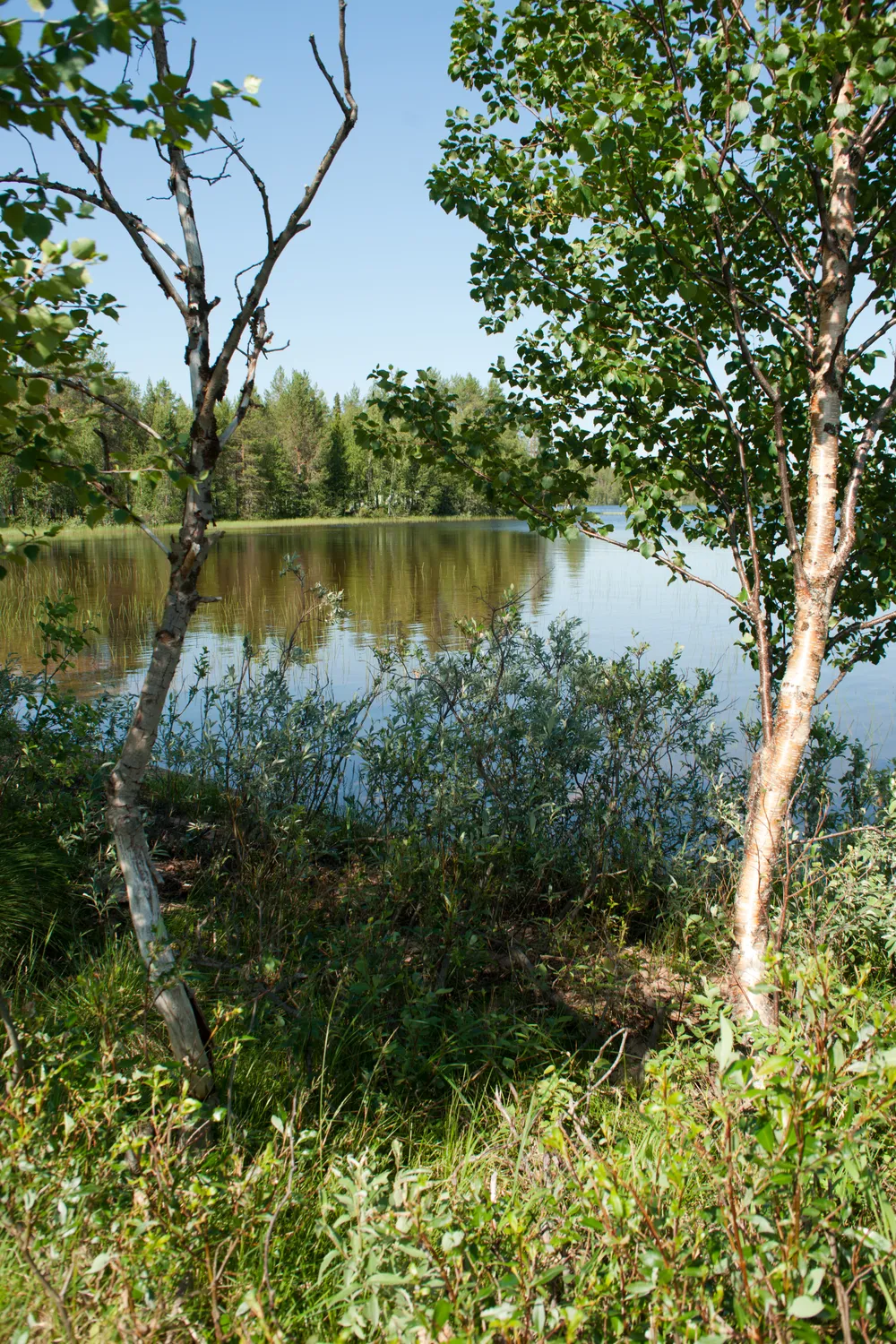 Yli-Kitka