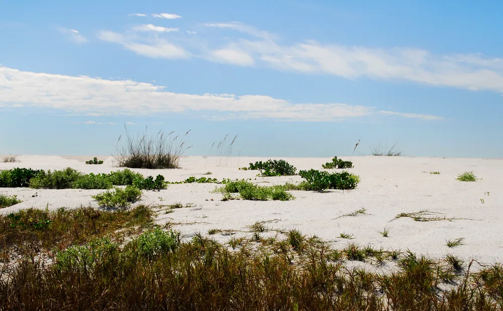 Cayo Costa