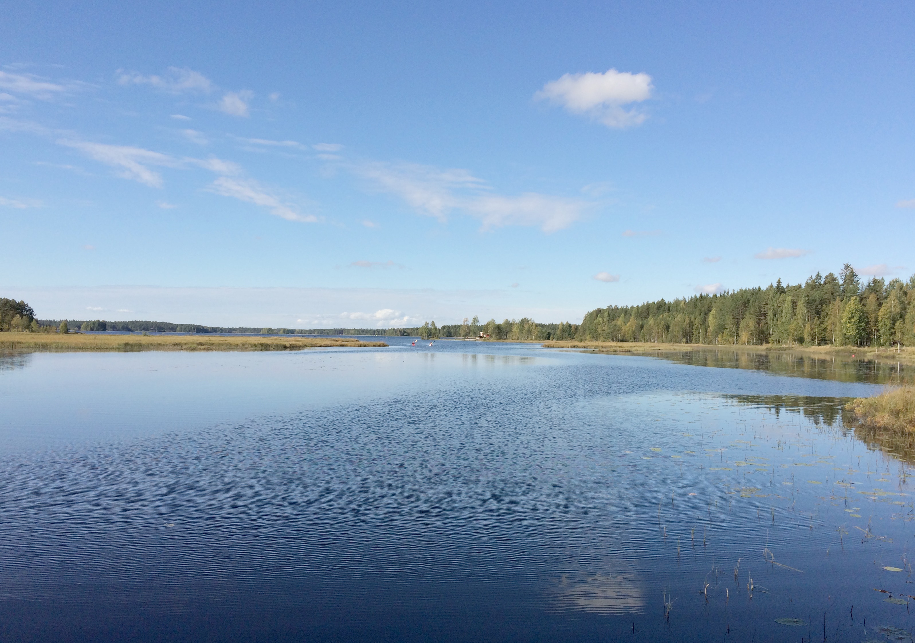 Rokosjøen