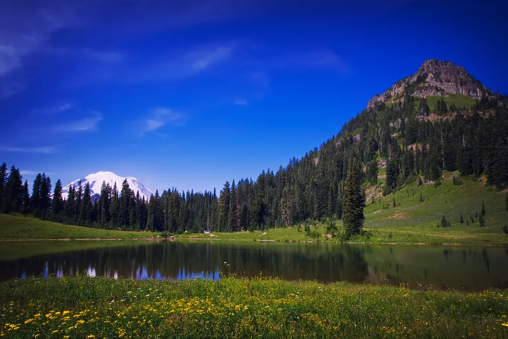 Tipsoo Lake