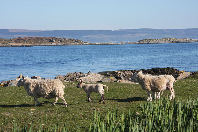 Gigalum Island