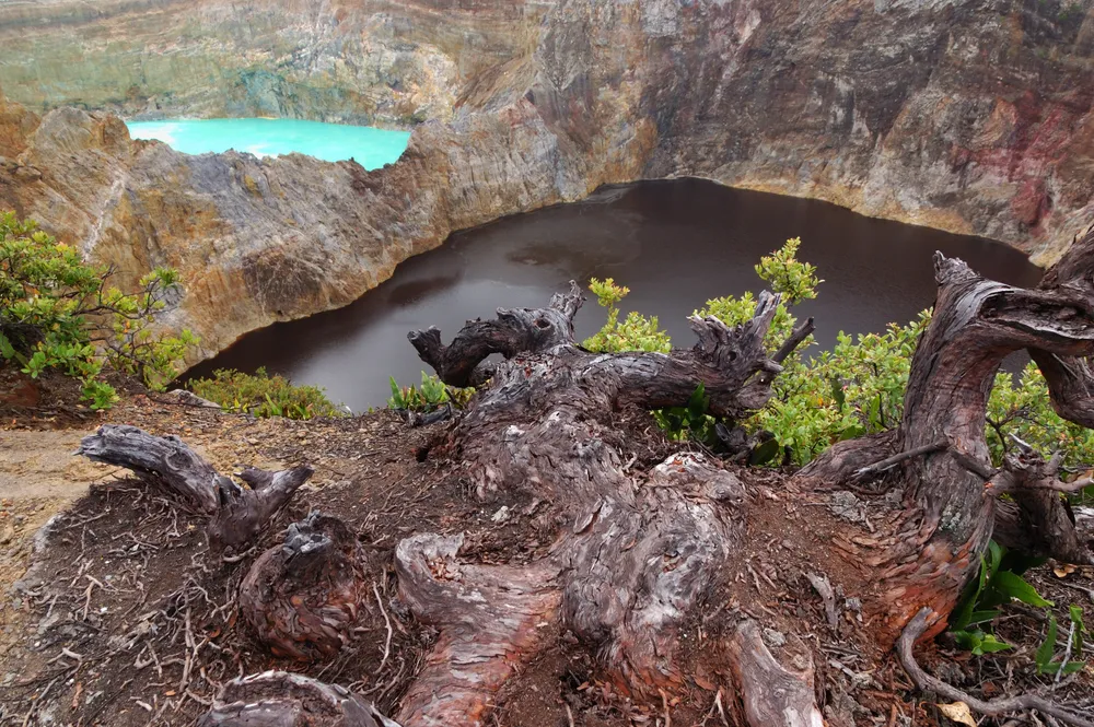 Lesser Sunda Islands, Indonesia