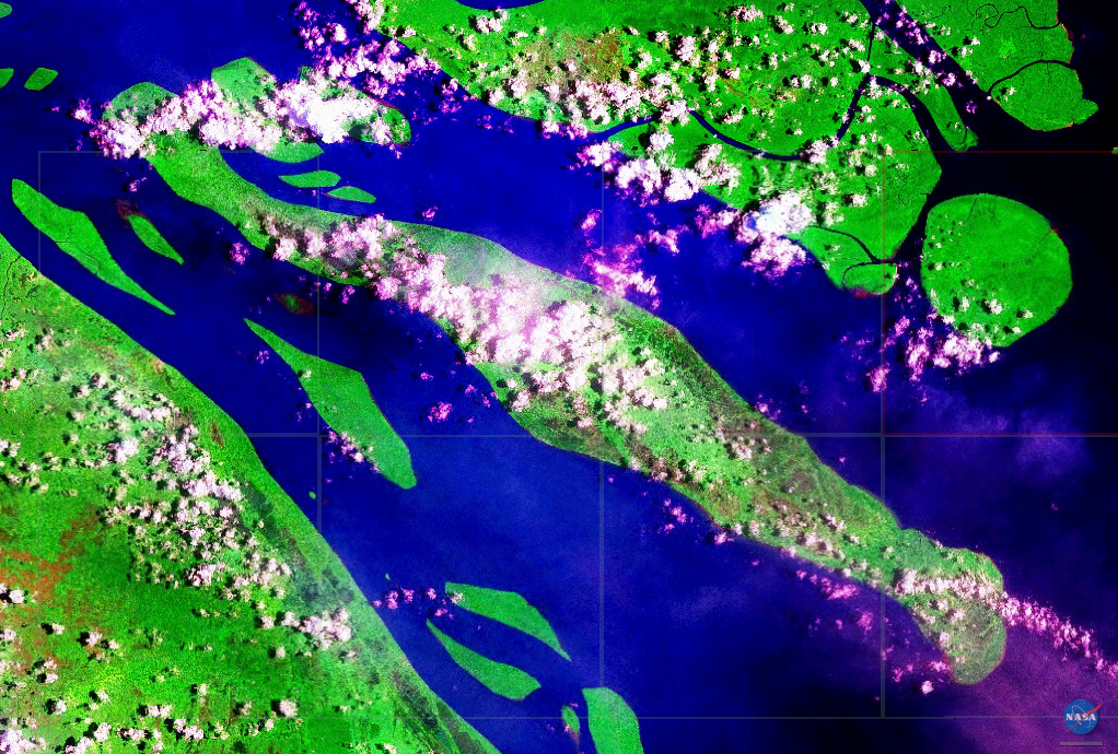 Kiwai Island