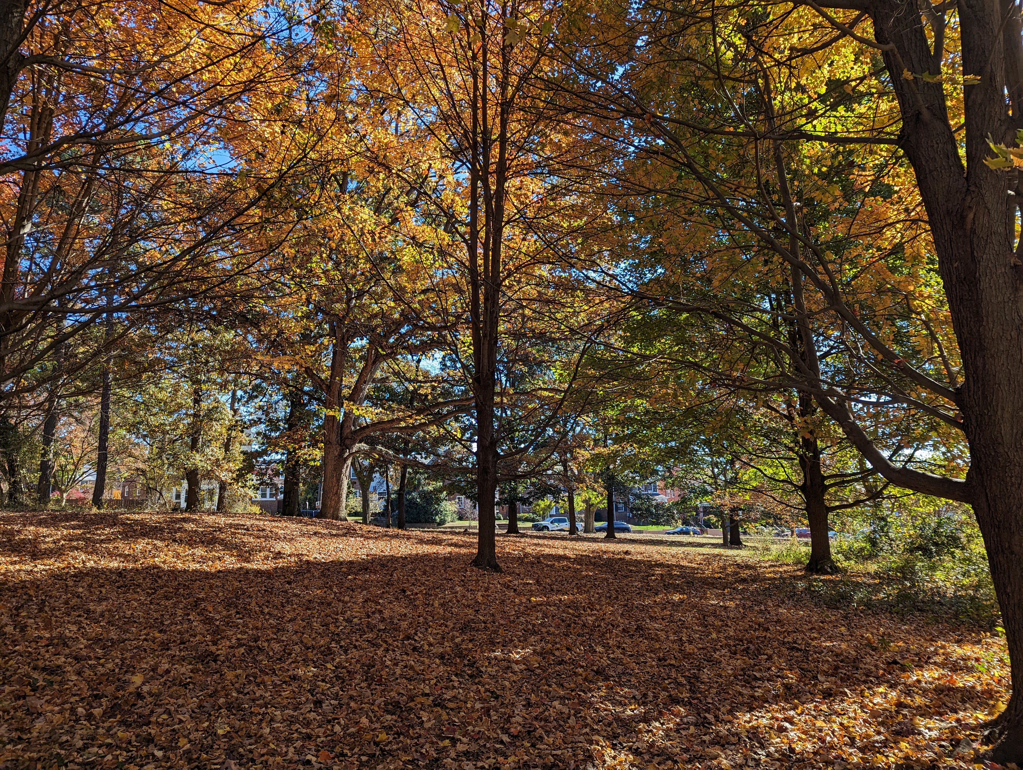 Fort Slocum