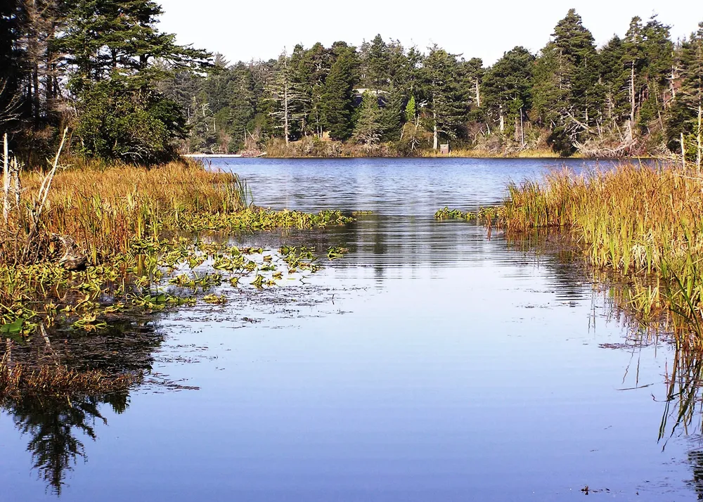 Bradley Lake