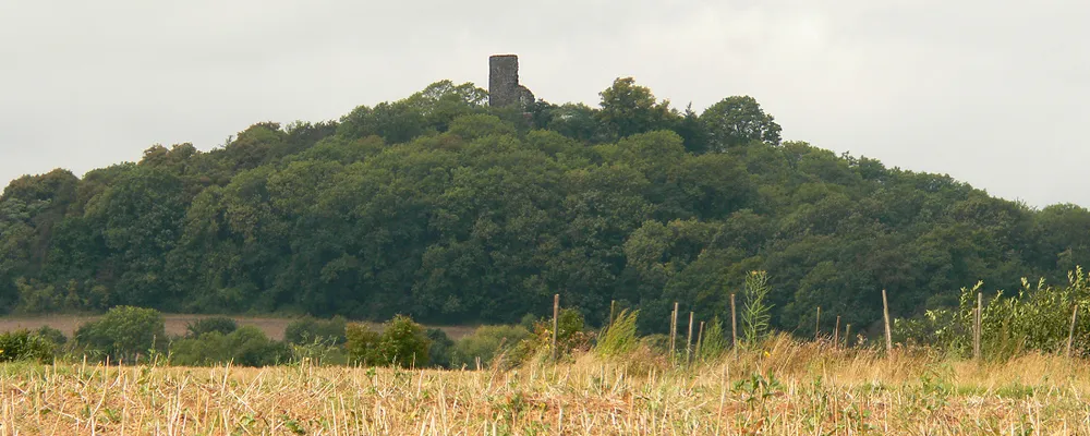 Tomburg Castle