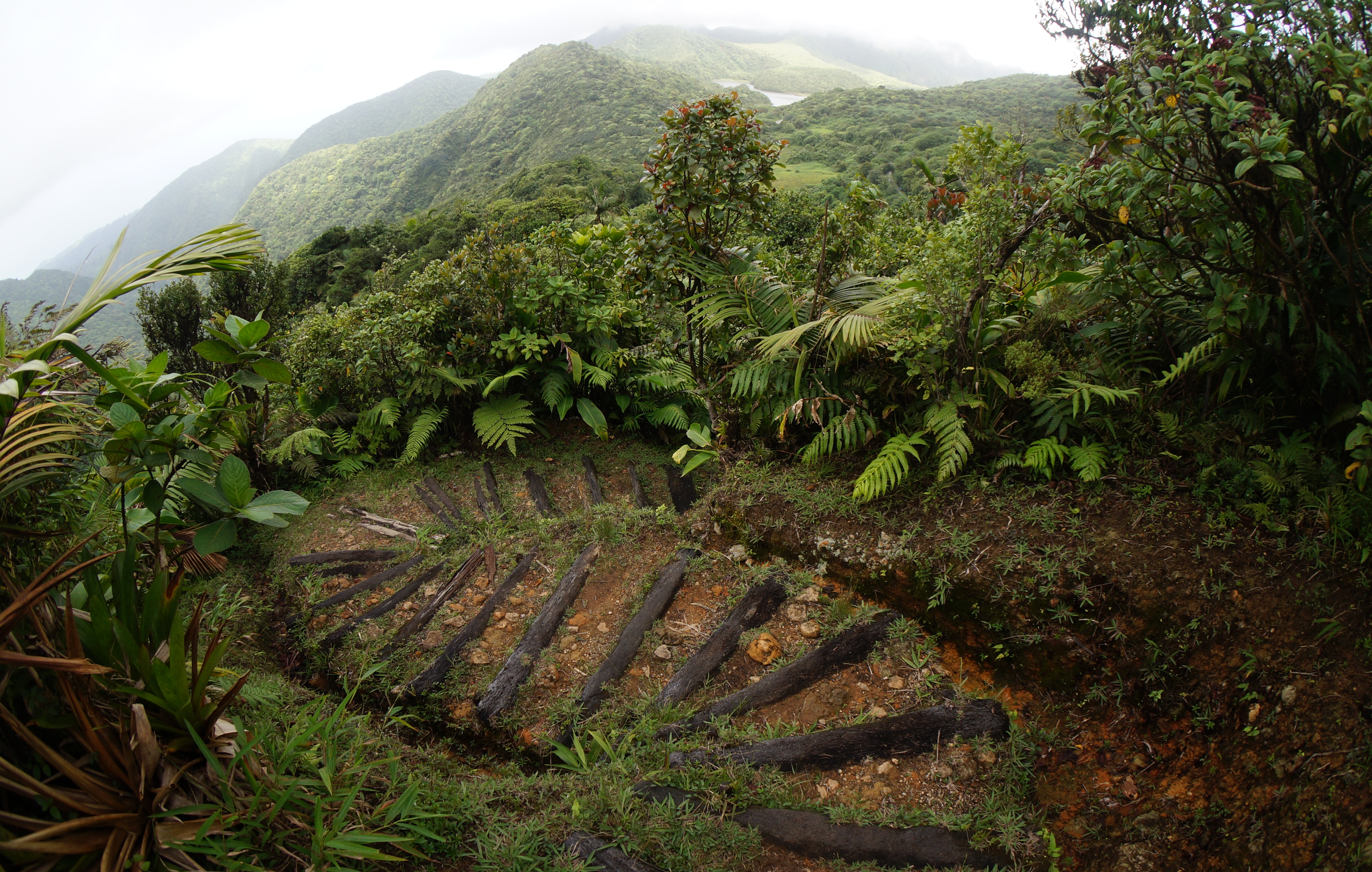 Morne Trois Pitons National Park, Dominica