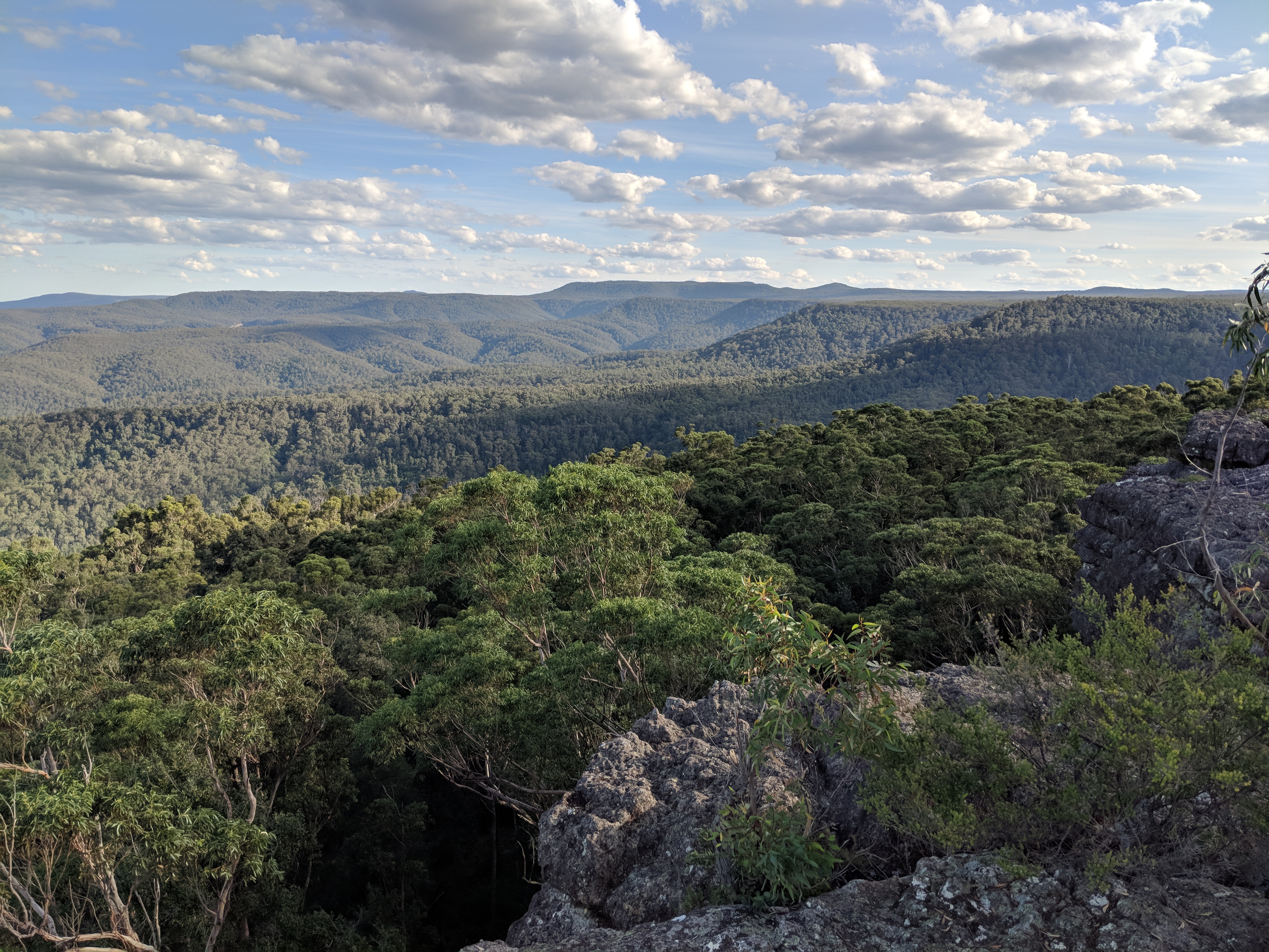 Jerrawangala National Park