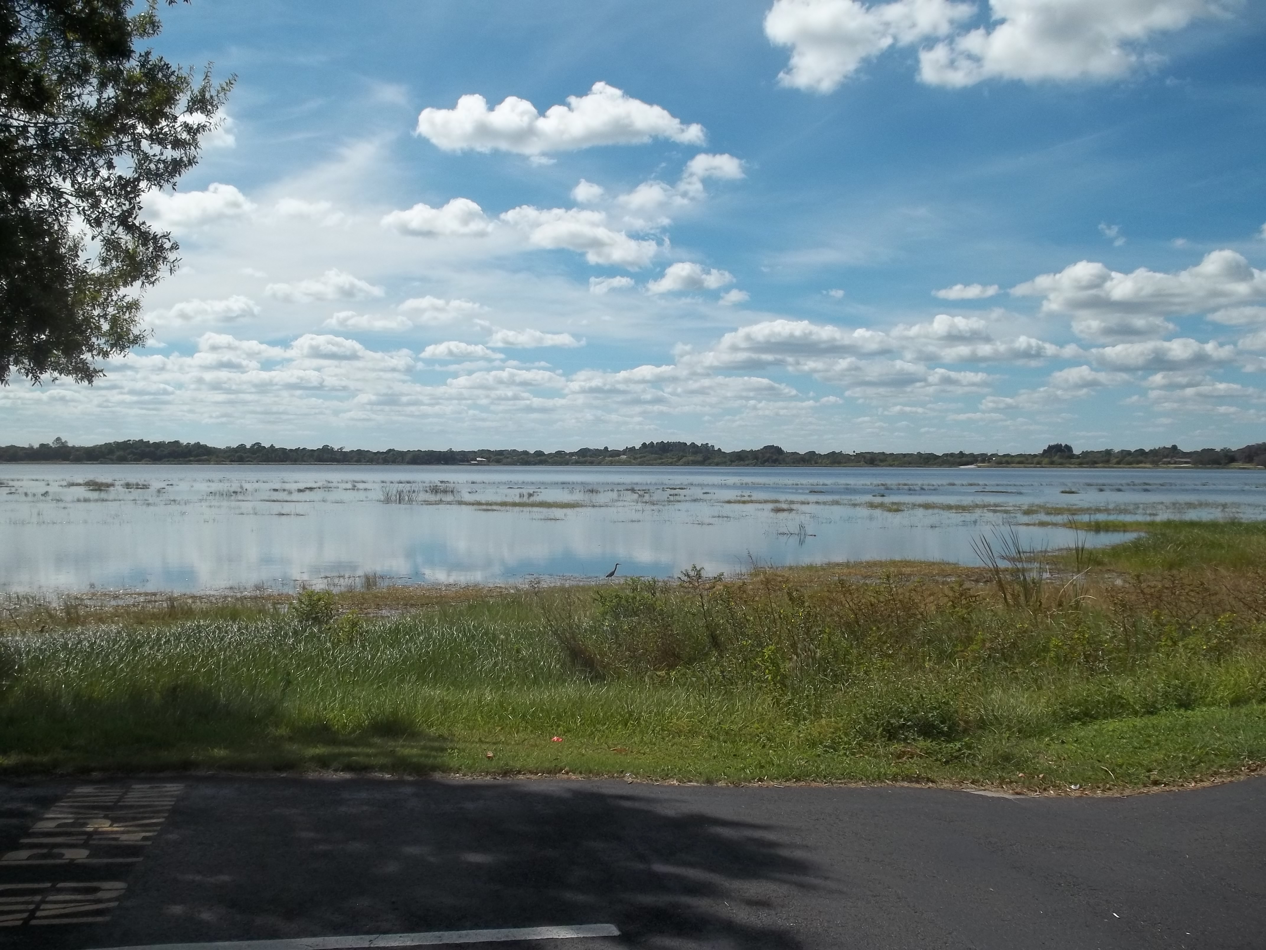 Lake Lillian