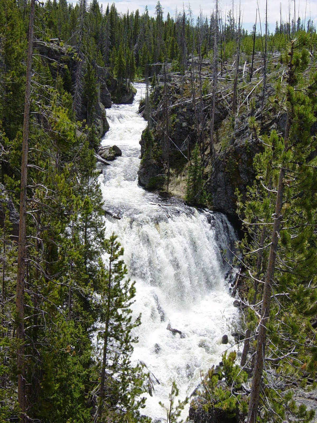 Kepler Cascades