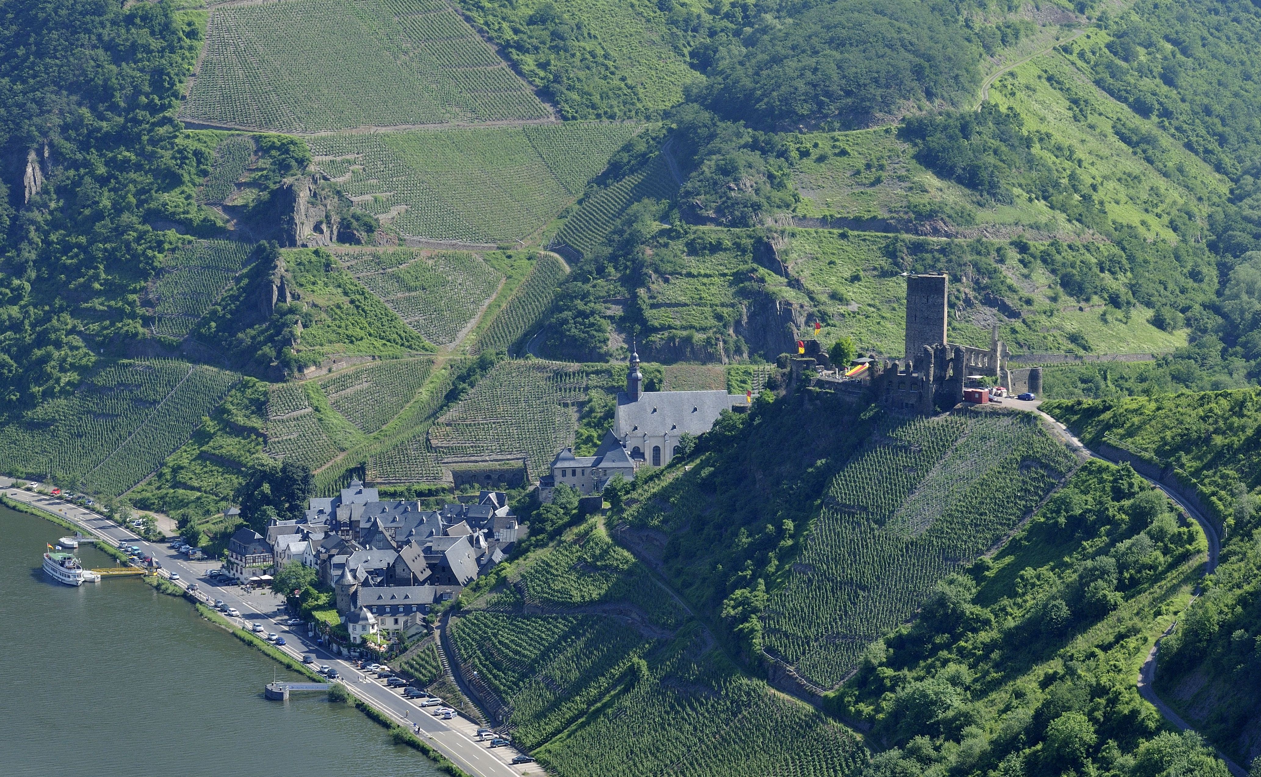 Metternich Castle