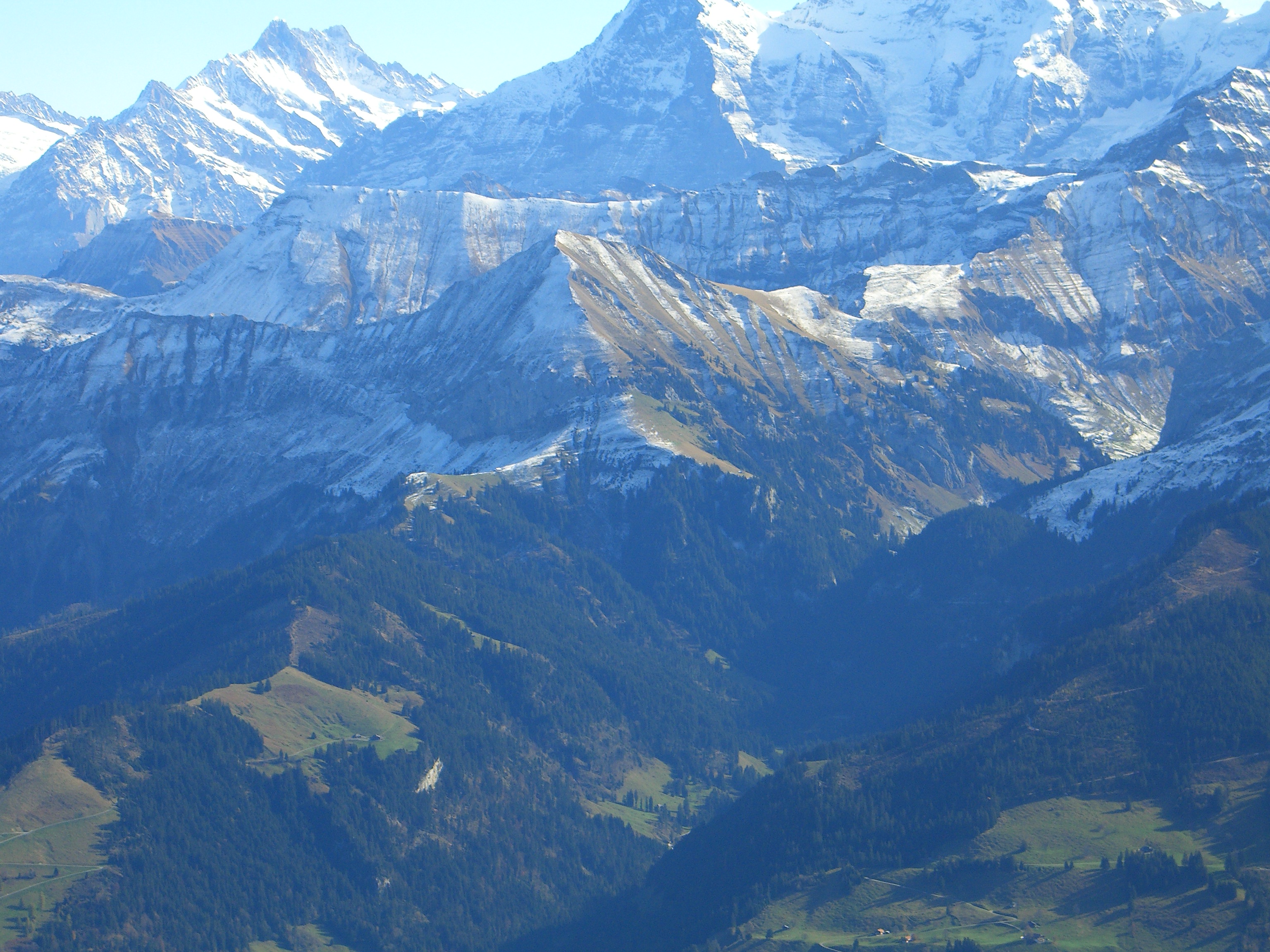 Morgenberghorn