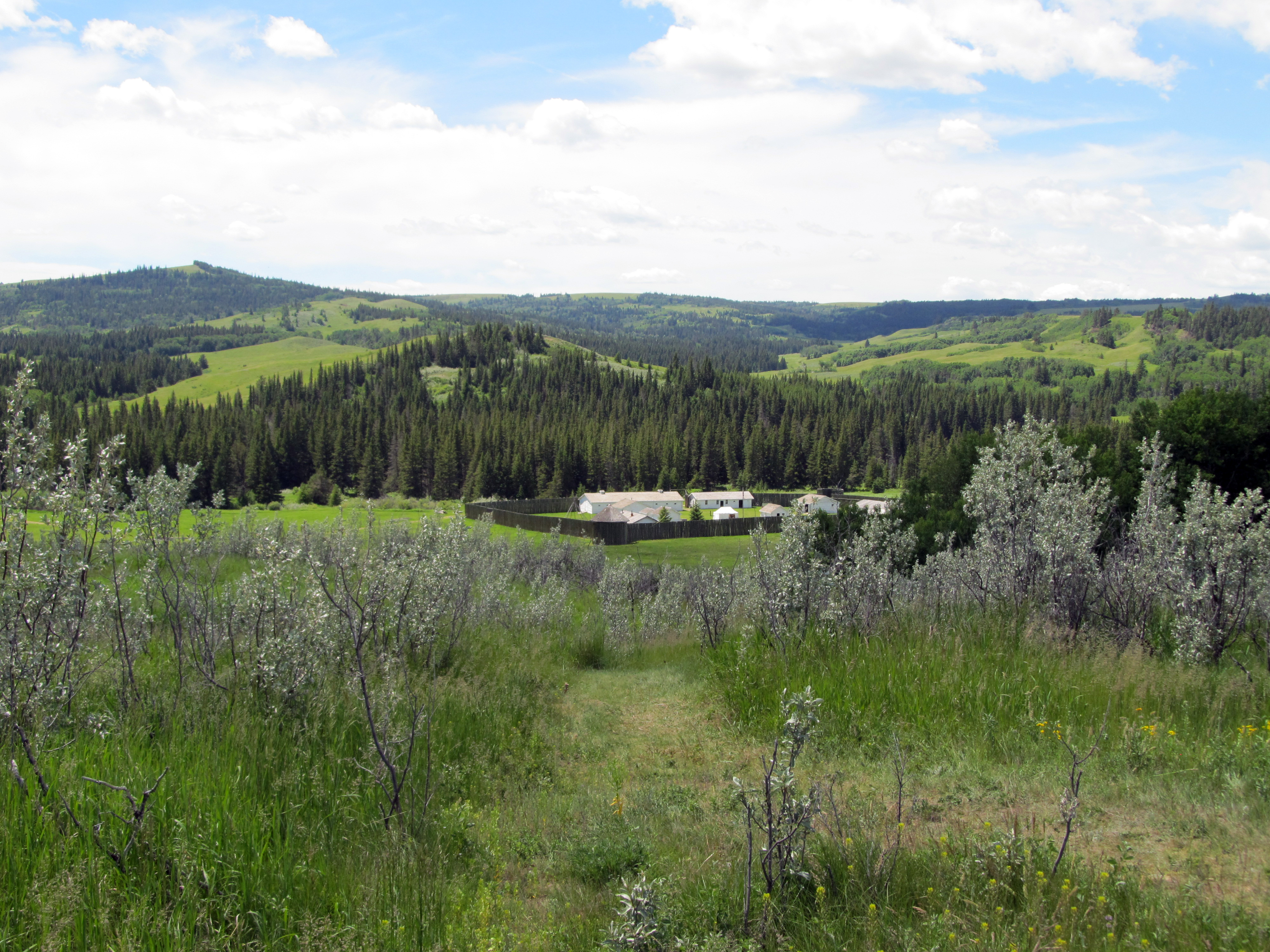 Fort Walsh